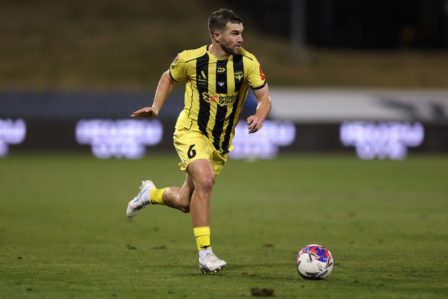 Tim Payne — Wellington Phoenix